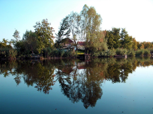 35686 (a): :1024x768